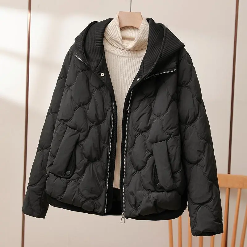 Y2K Puffer Winter Jacket for Women